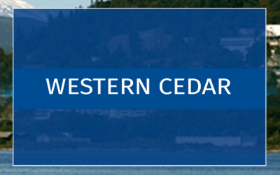 Western Libraries: CEDAR